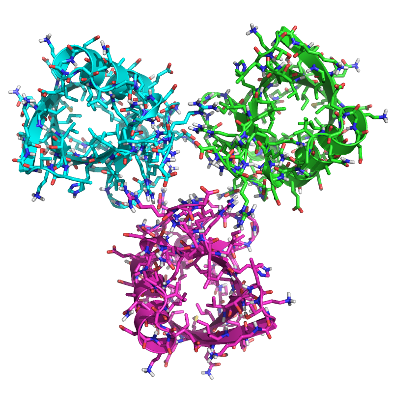The ubiquitin structure after applying C3 symmetry, packing, and minimization.